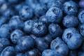 BLUEBERRIES FRESH PRODUCE FRUIT VEGETABLES PINT 10 OZ