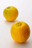10 Fresh Lemons Nice and Delicious