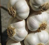 Fresh Garlic / Lasan - 1lb
