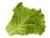 GREEN LEAF LETTUCE TENDER FRESH PRODUCE FRUIT VEGETABLES PER BUNDLE EACH (1)