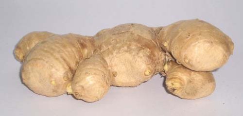 Ginger Fresh 14 Oz
