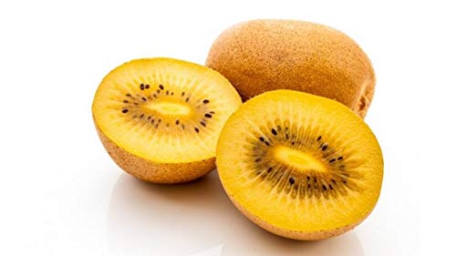 Fresh Golden Kiwi Fruit Kiwifruit (2 Pounds)