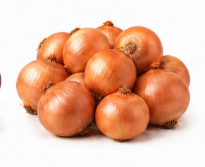 Organic Yellow Onion, 5 lb