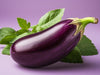 RawJoy Indian Eggplant - 3 lbs