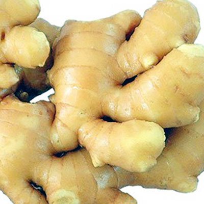 Fresh Ginger, Garlic and Shallot Set