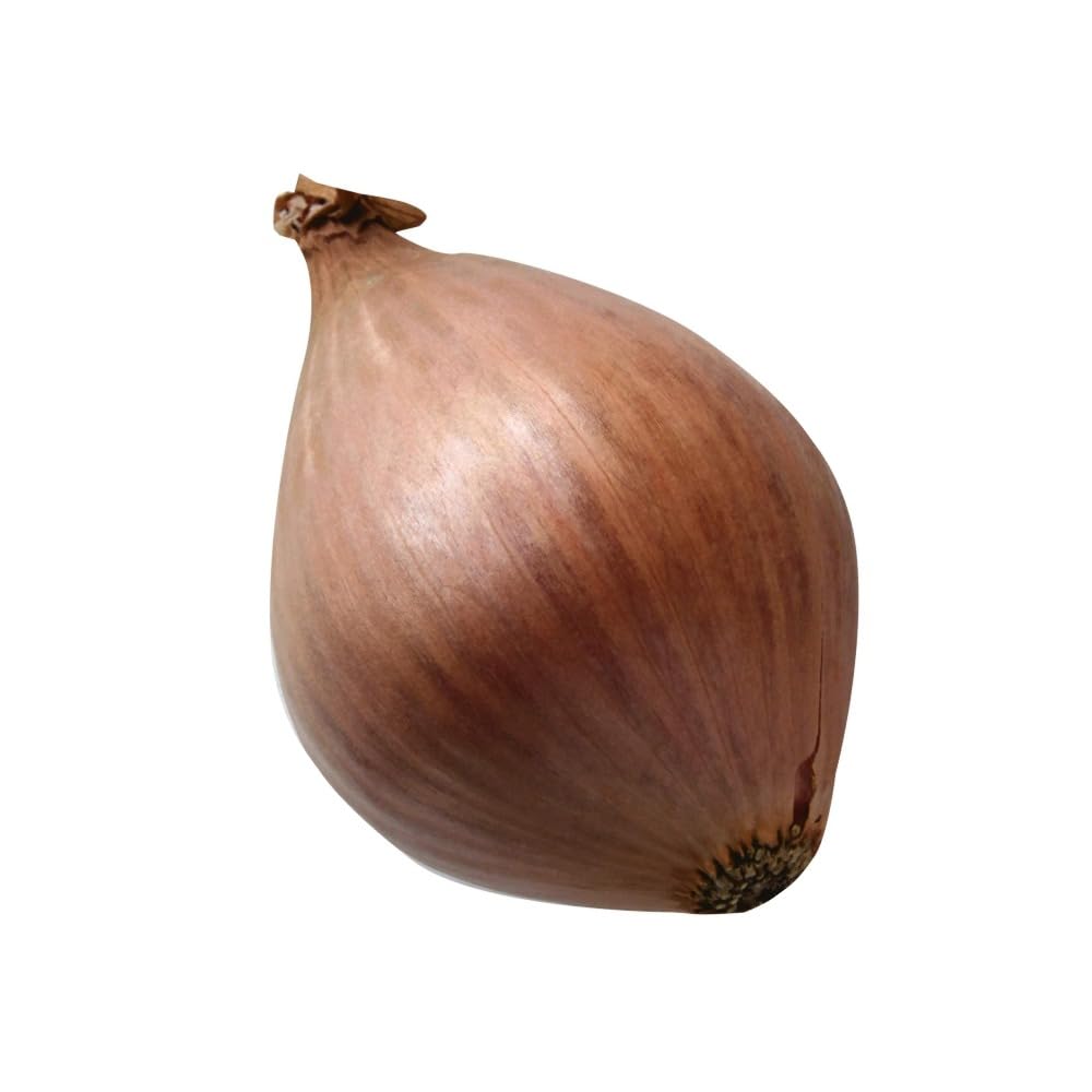 Shallots