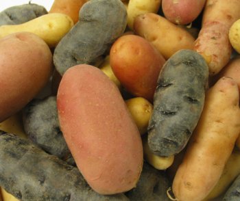 Melissa's Mixed Baby Potatoes, (3 lb)