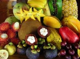 Exotic Fruit Box (10lb)