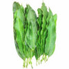 Mango Leaves / Fresh (5 - 7 leaves)