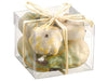 4"Hx5"Wx5"L Assorted Pumpkin/ Gourd in Acetate Box Cream (pack of 6)