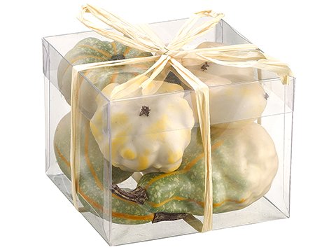 4"Hx5"Wx5"L Assorted Pumpkin/ Gourd in Acetate Box Cream (pack of 6)