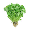 Greens Watercress Conventional, 1 Each
