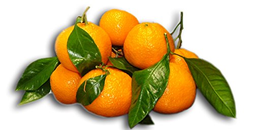 Satsuma Mandarins, 2 lb Box (Christmas orange)