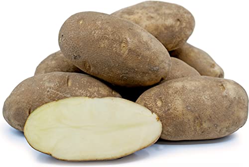 POTATOES RUSSET | Fresh Produce | Bulk 20 LBS | Grown in USA