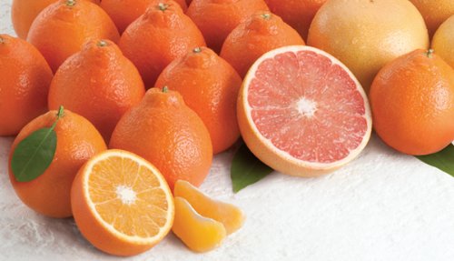Rare Florida Honeybell Oranges Honeybell Tangelos AND Ruby Red Grapefruit Grove Fresh Two Trays Pictured, 20lbs