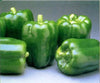 GREEN BELL PEPPERS FRESH FRUIT PRODUCE VEGETABLES BY THE POUND