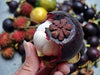Fresh Mangosteen