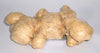 Ginger Fresh 14 Oz