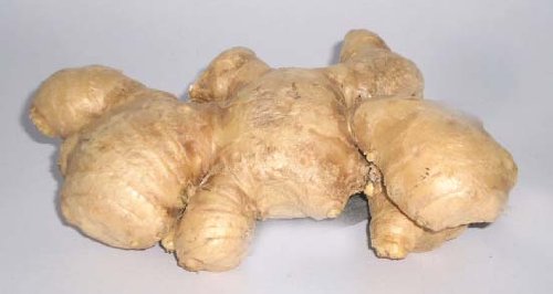 Ginger Fresh 14 Oz