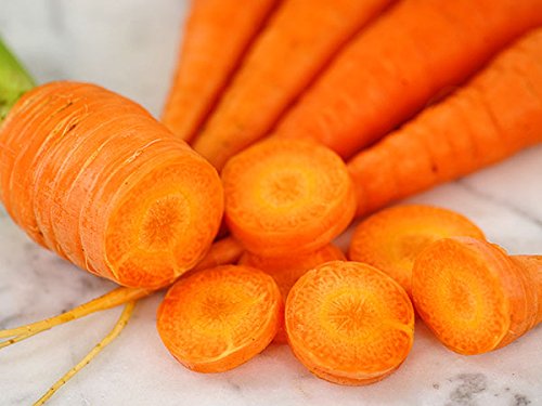 Carrots, Danvers 126, Heirloom, Grown 50 Seeds