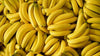 Bananas Fresh Fruit Bundle - 18.5 lbs (LBS) Box - Wholesale Produce