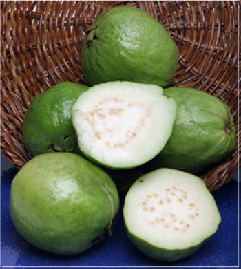 Melissa's Fresh Guavas (3 Lbs.)