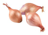 Onions Shallot, Each