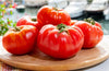 DesertUSA Floradel Tomato Seeds - Solanum lycopersicum - Plant with Confidence - 125+ Heirloom, Non-GMO Seeds for Bountiful Harvests!