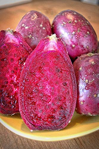 Melissa's Fresh Cactus Pears, Set of 10