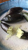 Melissa's Finger Limes (2 packages, 1.5oz)