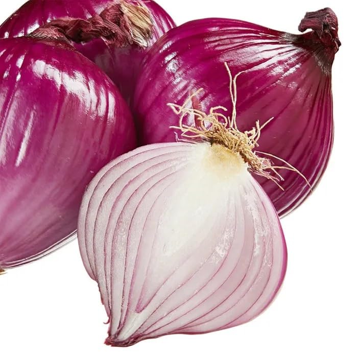 RED Onions, 10 lbs, Fresh and delicious for all your cooking needs, High in antioxidants, vitamin C, B6 and iron