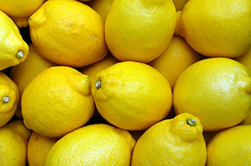 1 Dozen (12) Fresh Certified Organic Lemons