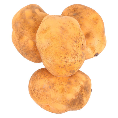 PRETYZOOM 4Pcs Artificial Potato Faux Potato Lifelike Vegetable Models