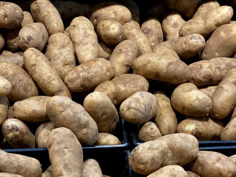 POTATOES RUSSET | Fresh Produce | Bulk 20 LBS | Grown in USA
