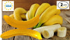BOHEM'S Banana Keeper On The Go Outdoor Travel Case BPA-Free Fruit Protector Portable Banana Holder Cute Carrier Storage Box 2 Pack Yellow (Banana Keeper)