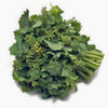 Broccoli Raab Seeds, Rapini, Heirloom, Non GMO, 25 Seeds, Delicious a Culinary Delight, Country Creek Acres