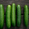 Poinsett 76 Cucumber Seeds - 200 Count Seed Pack - Non-GMO - Fantastic raw in Salads or in Cool and Tangy Condiments. - Country Creek LLC