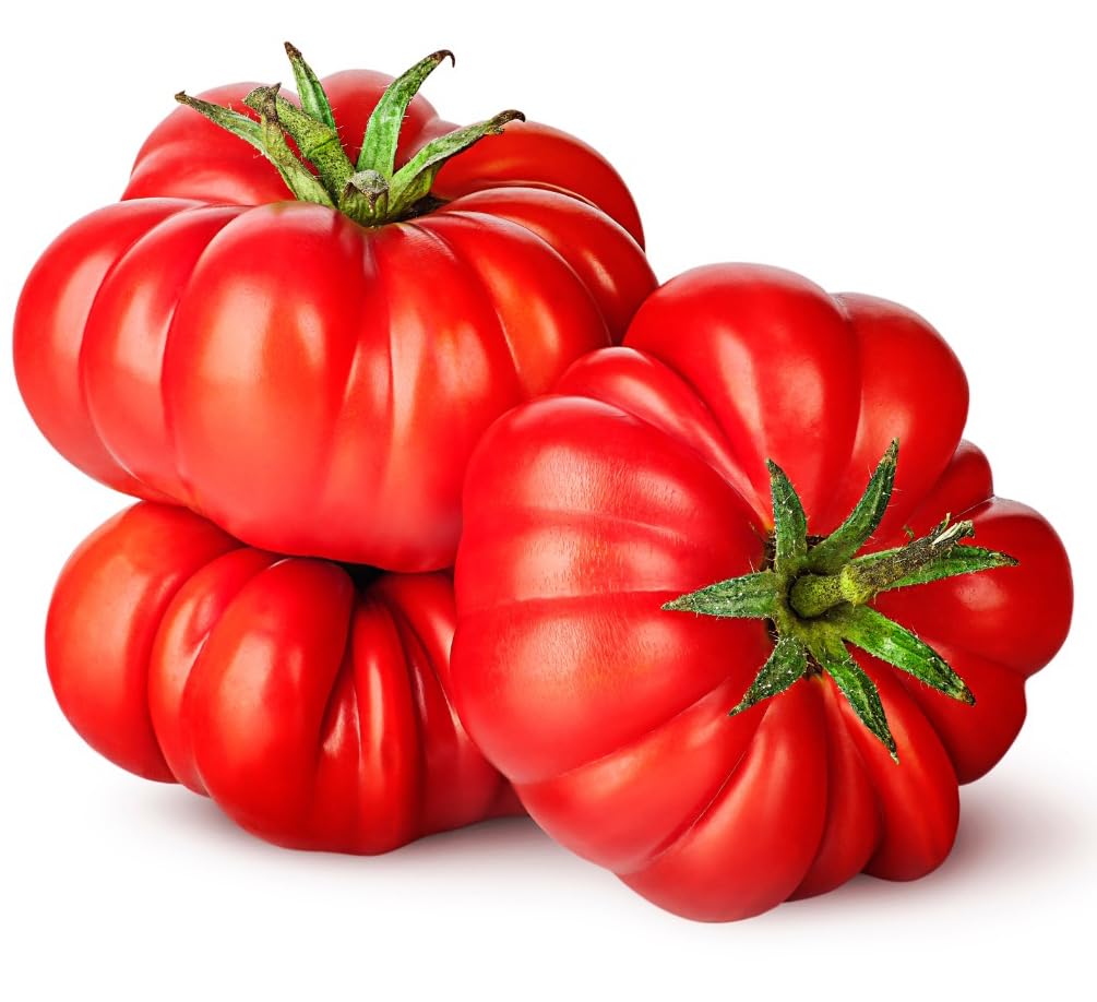 DesertUSA Floradel Tomato Seeds - Solanum lycopersicum - Plant with Confidence - 125+ Heirloom, Non-GMO Seeds for Bountiful Harvests!