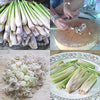 6 Fresh Lemon Grass