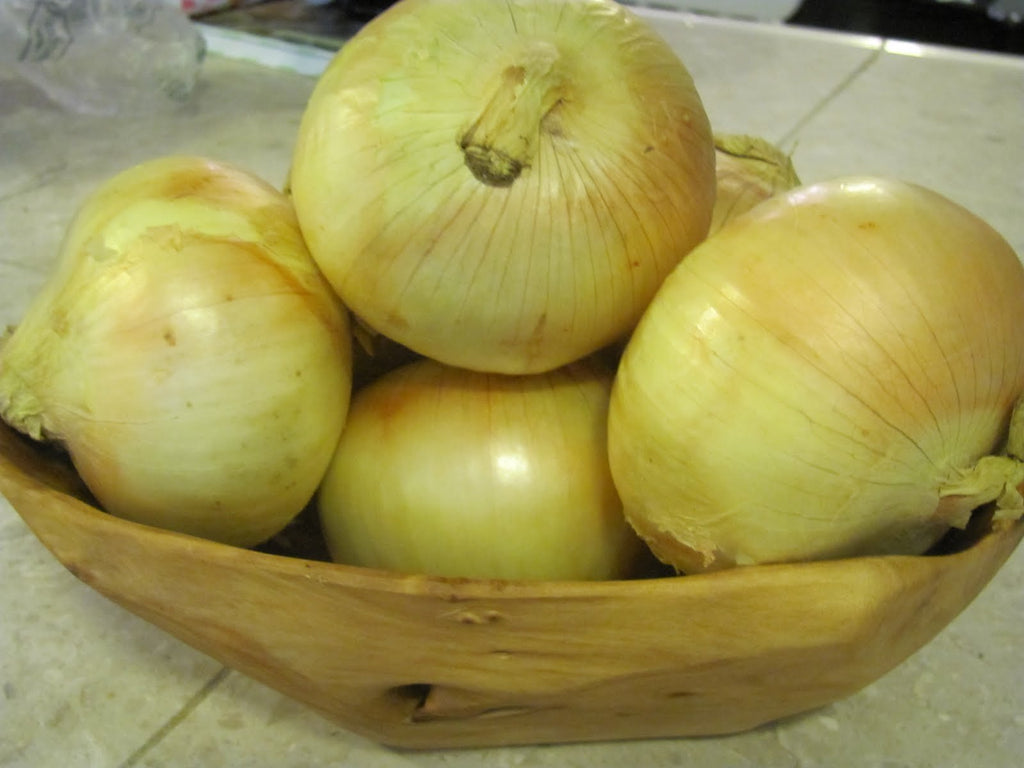 Restaurant Quality Mayan Sweets Onions, Premium, Sweet 5 LBS fast and