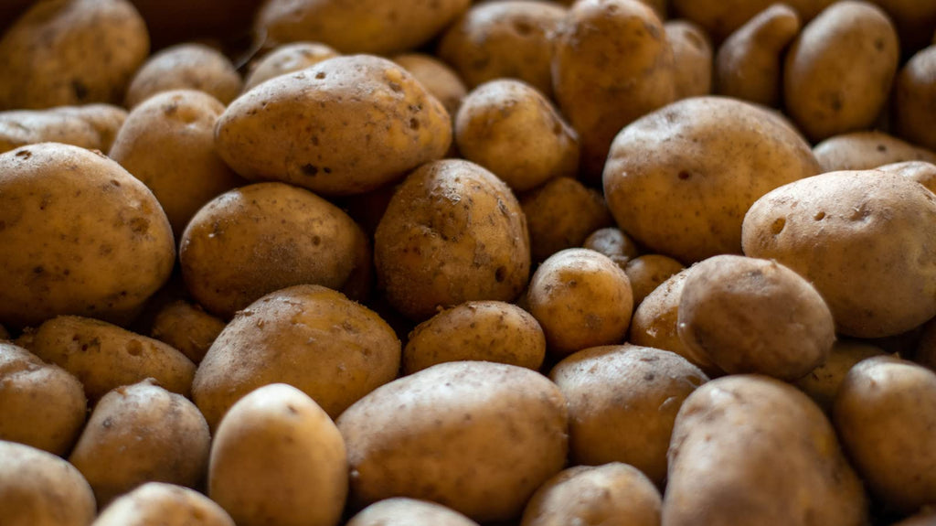 POTATOES RUSSET | Fresh Produce | Bulk 20 LBS | Grown in USA