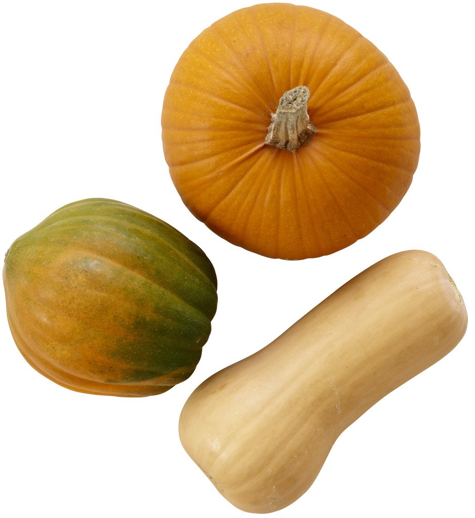 Farmers Market Winter Squash Bundle
