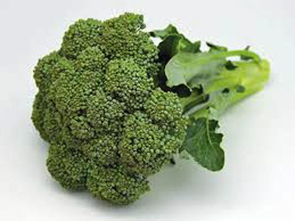 Broccoli, Waltham 29, Heirloom, 500 Seeds, Delicious and Healthy
