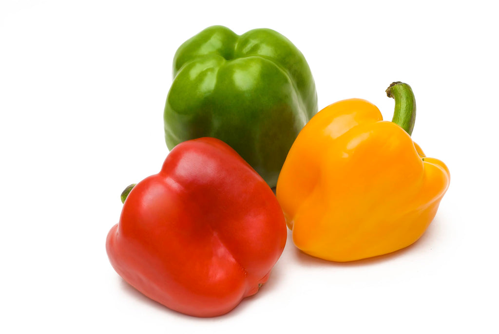 Fresh Organic Rainbow Bell Peppers Red, Yellow, Orange, and Green by RawJoy Farms, 1 Pound