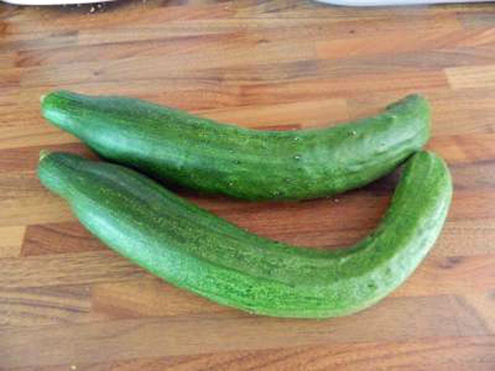 Cucumber, Long Green Improved, Heirloom, 20 Seeds, Great for Any Veggie Plate