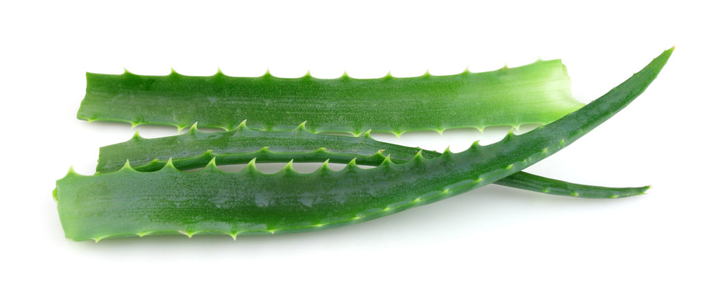 RawJoy Fresh Aloe Vera Farms