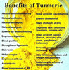 Fresh Yellow Turmeric Root - 2 Lbs