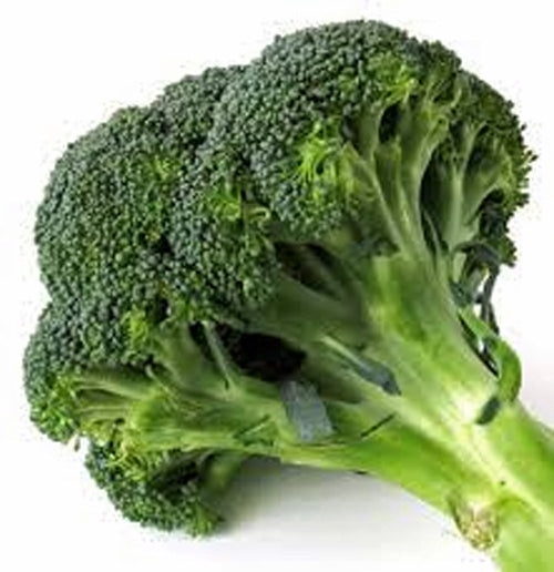 SVI 25 Calabrese Broccoli Seeds (Brassica Oleracea) - Green Sprouting Broccoli Seed Packets, Large, Fast Growing, Non GMO, Heirloom Seed - Vegetable Seeds for Outdoor Vegetable Garden, Greenhouses