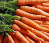 Carrot, Little Fingers Seeds, Non-gmo, 50+ Seeds