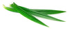 RawJoy Pandan leaves - 7 oz